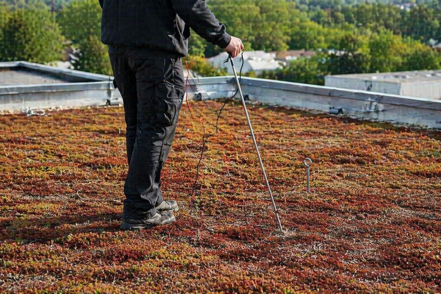 Leckageortung auf einem begrünten Flachdach